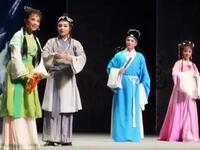 黄梅戏《龙女》共四个版本下载