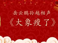大象瘦了下载