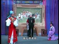 莆仙戏《半子依靠》第3集下载