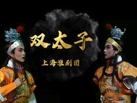 淮剧《双太子》全剧下载