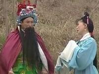 黄梅戏《桃花恋传》全集下载