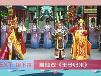 莆仙戏《王子归来》全剧下载