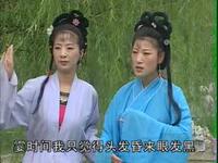 庐剧《七岁孤儿》全剧下载