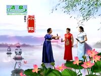 河南坠子《岳飞传》全集下载