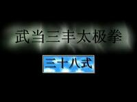 武当陈师行38式太极拳