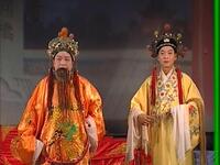安徽推剧《狸猫换太子》全剧下载