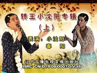 二人转《转王小沈阳专辑》下载