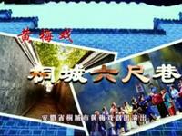 黄梅戏《桐城六尺巷》全集 桐城市黄梅戏剧团下载