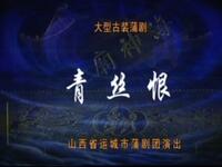 蒲剧《青丝恨》山西省运城市蒲剧团