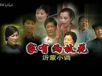 沂蒙小调《家有两枝花》下载