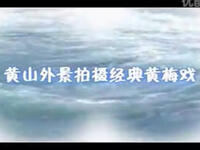 外景黄梅戏《孝女寻父》全集下载