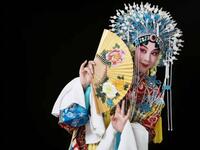 河南曲剧《山乡月明》全剧下载