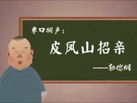皮凤山招亲下载