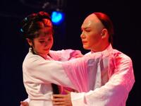 黄梅戏《邢绣娘告官堤》实况完整版下载