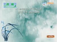 吕剧《兰桂飘香》全剧下载