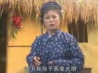 黄梅戏《错配婚缘》全集下载