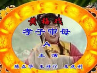 黄梅戏《孝子审母》全集下载