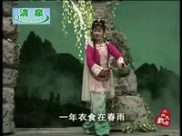 黄梅戏《雾里青传奇》全集下载