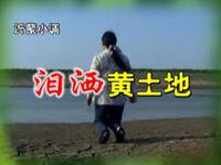 沂蒙小调《泪洒黄土地》下载