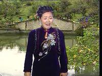 河南坠子《大红袍》第二部下载