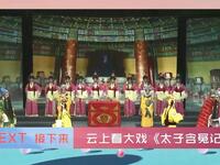 莆仙戏《太子含冤记》全剧下载