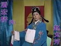 黄梅戏《龙凤环》下载