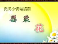 沂蒙小调《罂粟花》下载