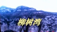 上党落子《柳树湾》下集