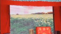 湘汨平花鼓戏《柳明英》