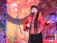 河南坠子《包公案》下载