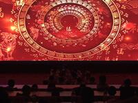 幼儿舞蹈《中国梦娃》下载