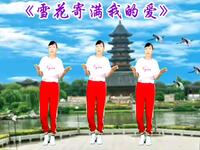 32步广场舞《雪花寄满我的爱》完整版