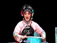 川剧弹戏《拾玉镯》重庆市川剧院钟斌等演出下载