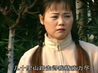 庐剧《半路捡老婆》下载
