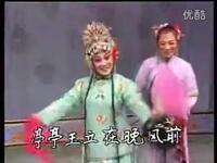 评剧《花为媒》选段报花名下载