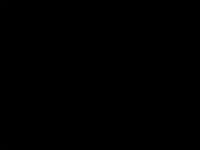 闽剧《太平奇案》