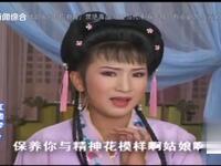 庐剧《红楼梦》第7集下载