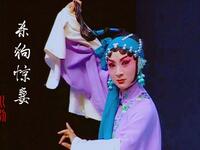 川剧《杀狗惊妻》下载