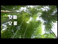 庐剧《仇人收养冤家儿》第5集下载