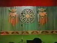 二人转《二本蓝桥》辽源红旗曲艺厅演出下载