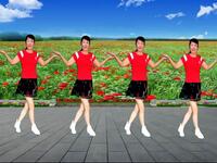 中老年广场舞《马缨花情歌》64步好看易学慢
