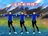 DJ广场舞《酒醉的蝴蝶》32步歌醉舞嗨
