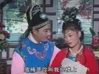 庐剧《秦雪梅观画》第3集下载