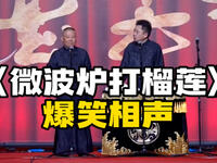 微波炉打榴莲下载