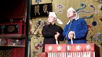 树没叶下载