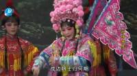 莆仙戏《护储姻缘》全集 婵媛剧团下载