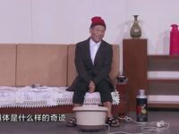 公园奇遇下载