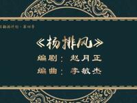 二人转《杨排风》吉林省梨树县民间艺术团演