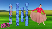 玫香广场舞DJ版《舍不得和你说再见》《动了心的人无解药》下载