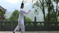 武当太极拳十三式教学 陈师行